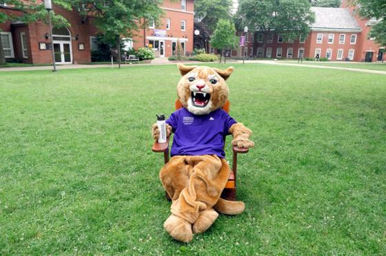 图为冰球突破app吉祥物美洲狮卡森坐在阴凉校园的椅子上